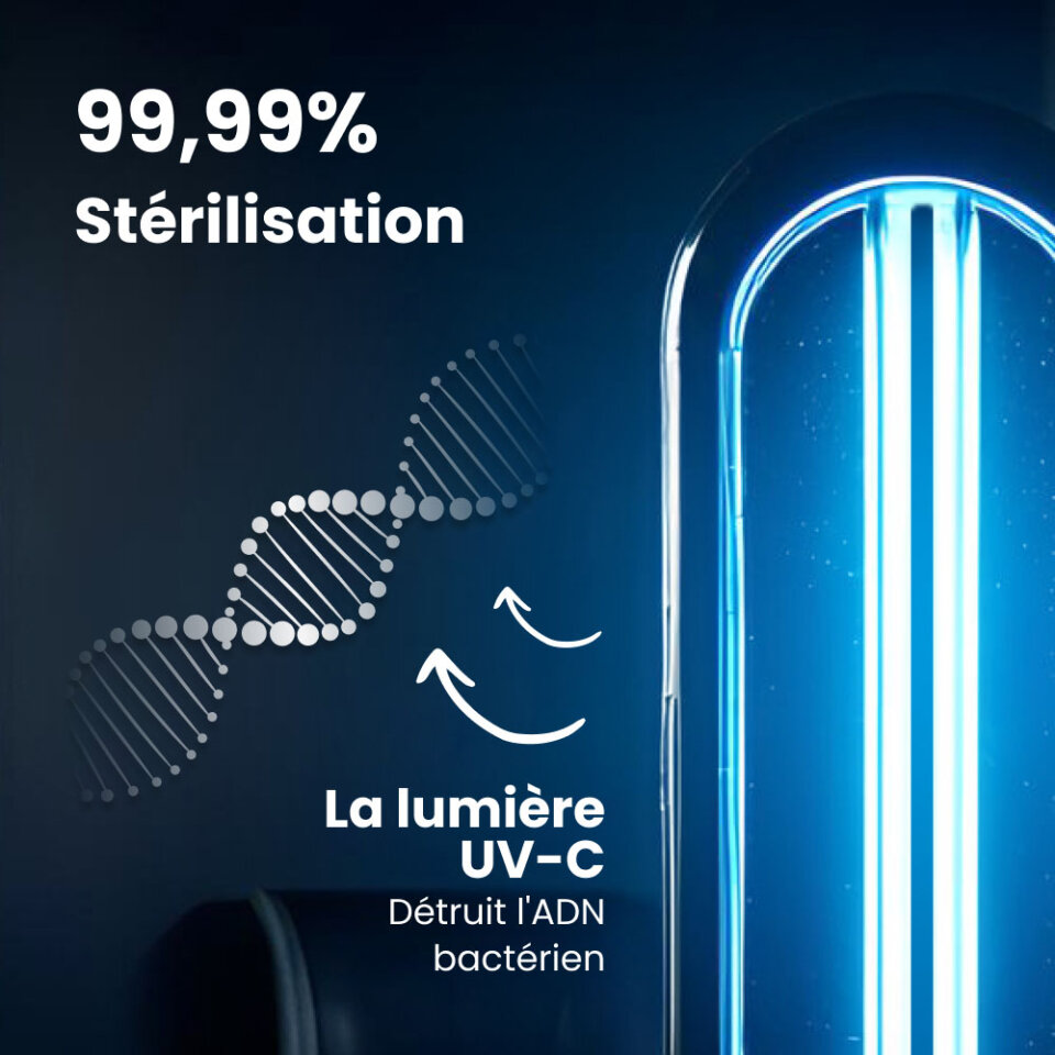 ClairLite image